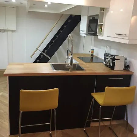 Newly Remodeled Parisian Gem In Le Marais!