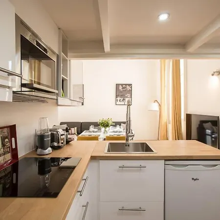 Newly Remodeled Parisian Gem In Le Marais! Daire